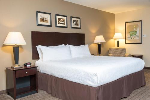 Holiday Inn Aurora North - Naperville by IHG in Aurora, USA