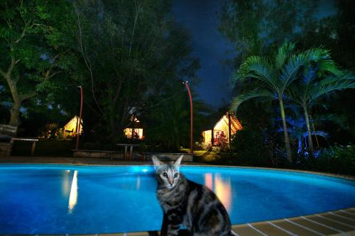 Atiu Villas