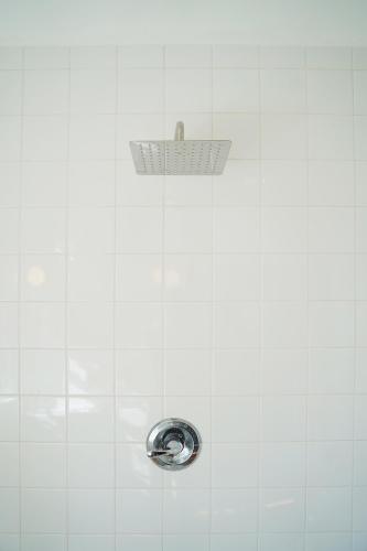 The Steady, Los Angeles (Foto 10)