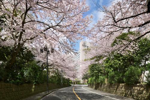 東京櫻花塔王子大酒店