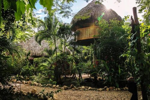 El Oasis Playa Grande