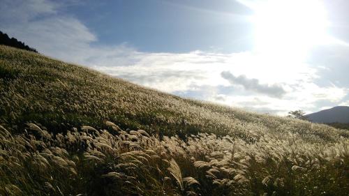 箱根约特罗庵附加旅馆 箱根约特罗庵附加旅馆
