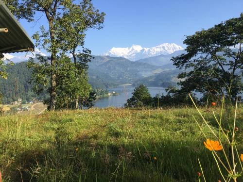 Mount fuji homestay in Lakhnath