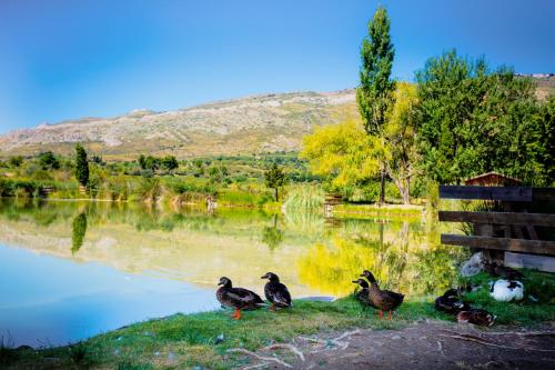 Camping la Peiriere - image 3