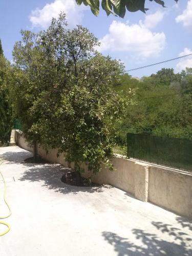 La Romane