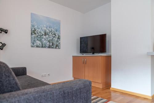 Appartementhaus Steirergasse by Schladming-Appartements - image 5