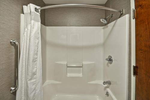 Holiday Inn Express Romulus / Detroit Airport an IHG Hotel - image 2