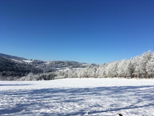 Na Vršku, Klenovice u Prachatice