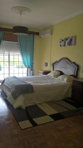  AL Falcoaria e Lezirias in Salvaterra de Magos