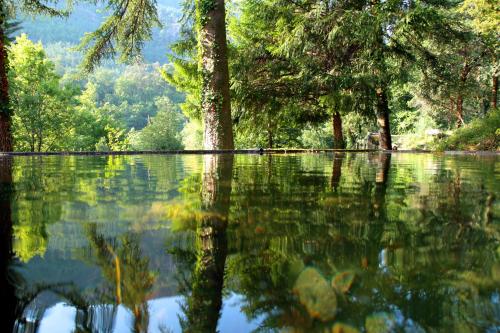 Hotel Eco Salvador - image 5