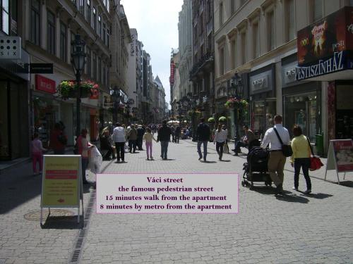 Downtown Apartments Budapest - image 2