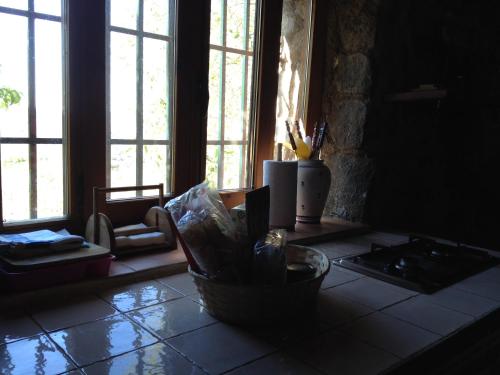 Mi Valle Rural - image 6