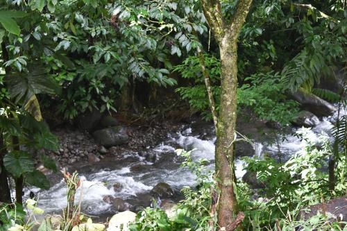 Casa Arboleda-Full House by the River and Forest and Gardens