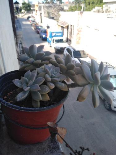 AMBAR Rooms in กัมเปเช