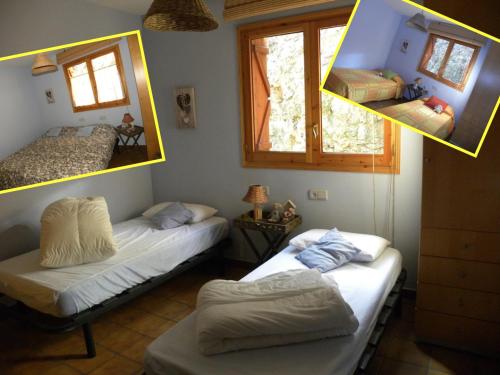  Cases Roses in Escaló