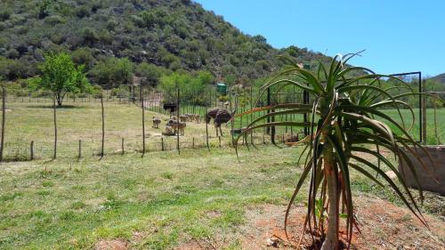 De Oude Meul Country Lodge & Restaurant