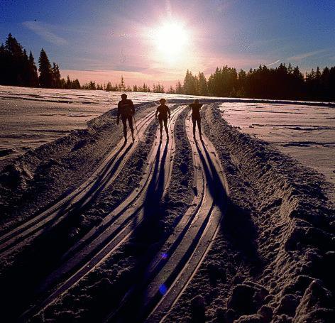 Sporthotel Krone - main image