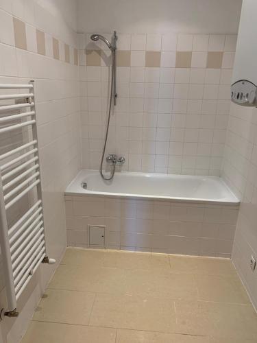 Central Living Apartment 1090 Vienna, Vídeň (fotografie 2)