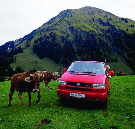 Sporthotel Krone - image 14