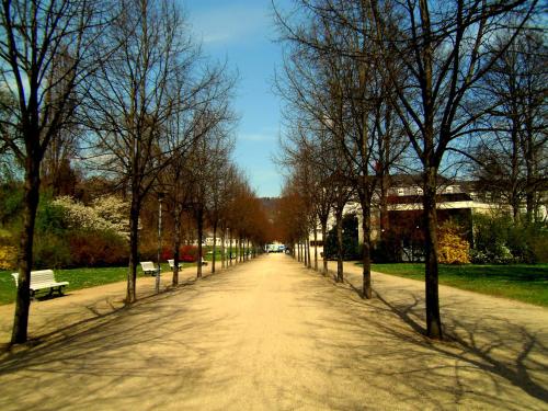 Hotel Goethe Haus Bad Pyrmont Hotel Price Address Reviews