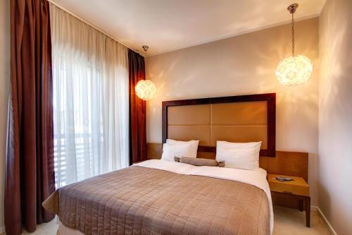 Hotel MIR - image 11