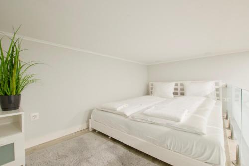Standard Apartment by Hi5 - Csengery 3, Budapest (photo 5)