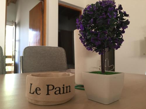 Apartamentos Irigoyen