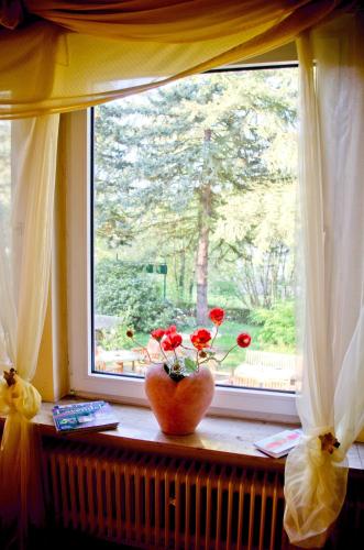 View, Haus Helvetia in Bad Orb
