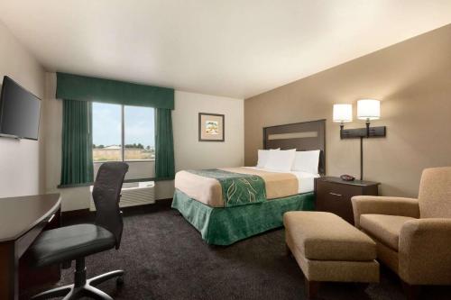 1 queen bed