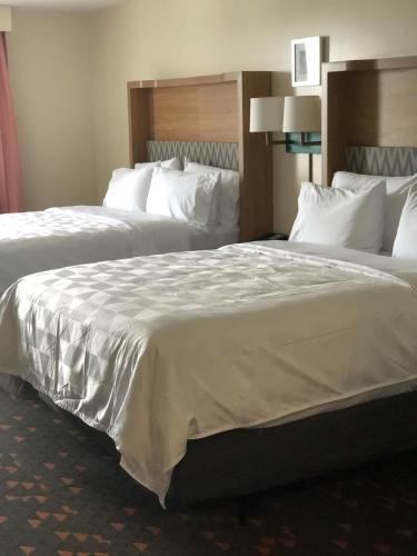 Holiday Inn Hotel & Suites - Mount Pleasant, an IHG Hotel