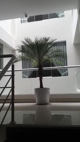 Terraza Apart Hotel in Pichanaqui