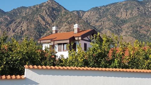  Mandarin Konukevi in Köyceğiz