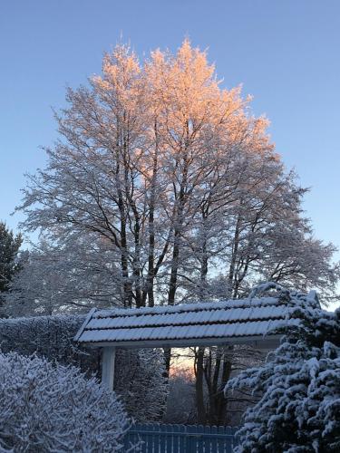 Provincija - image 2