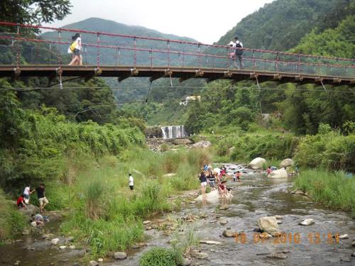 大雪山國家森林遊樂區門票(平假日均可使用)