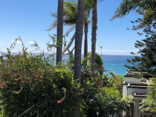 Classic Suite - Ocean View with Balcony