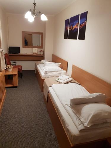 Bucharest Downtown Inn - image 10
