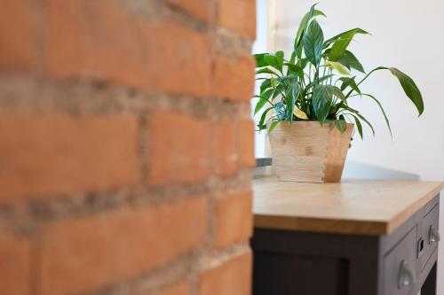 InCentro B&B - image 11