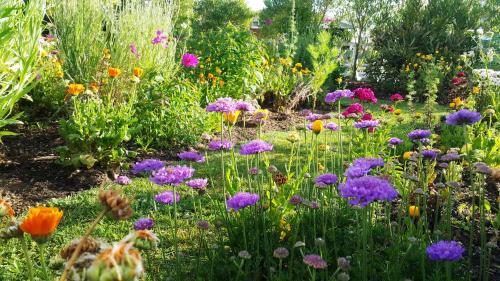 Blooming Delight Tauranga