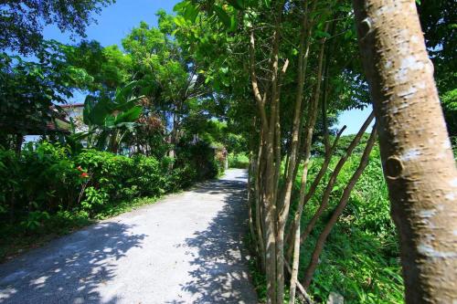 梦田信箱渡假别墅 梦田信箱渡假别墅