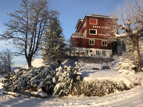 Hotel Bergsonne Rigi