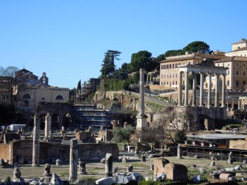 Colosseo Luxury Apartment - image 3