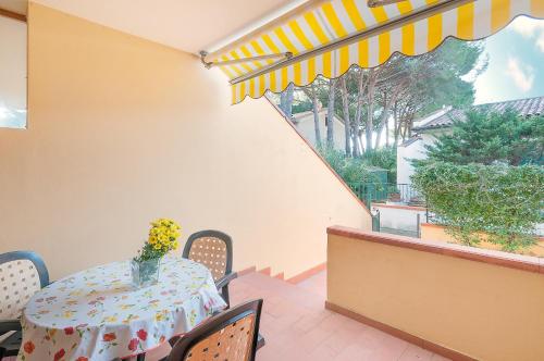 Cassiopea, Marina di Campo (photo 5)