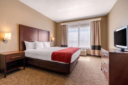 Comfort Inn Lathrop Stockton Airport