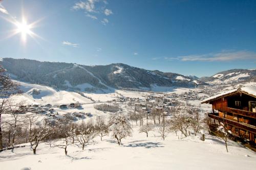 Appartement Alpenhof Wildschönau - image 7
