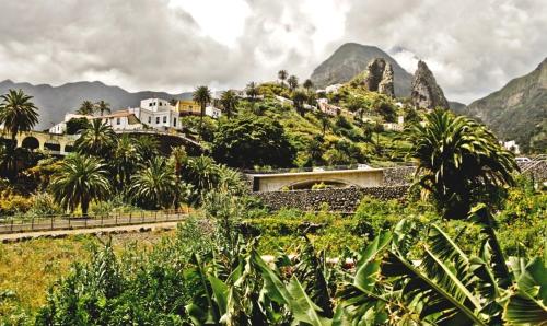 Finca Piñero - image 6