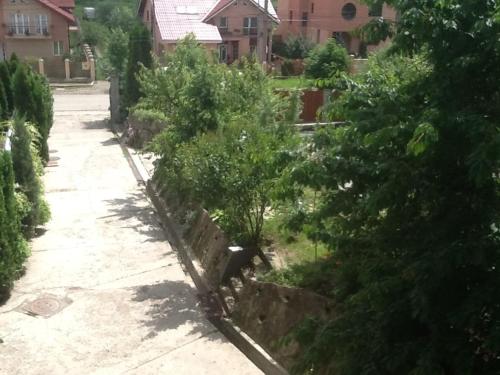 Pension Garofita - image 12