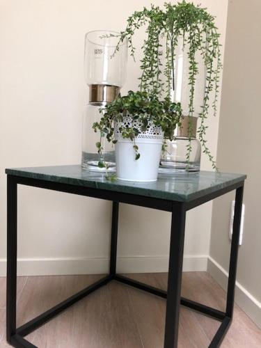 B&B Sasput - image 7