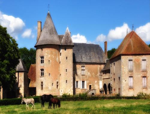 Château du Max - Accommodation - Le Theil