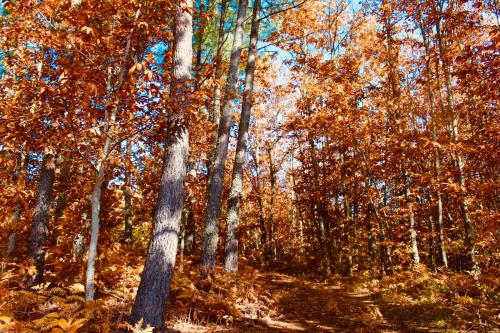 A környék, Casa Rural el Comercio Sierra de Francia in San Miguel De Valero