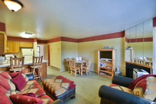 Wolf Lodge Condo #302 - image 2